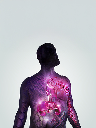 immagine uomo con focus su sistema circolatorio
