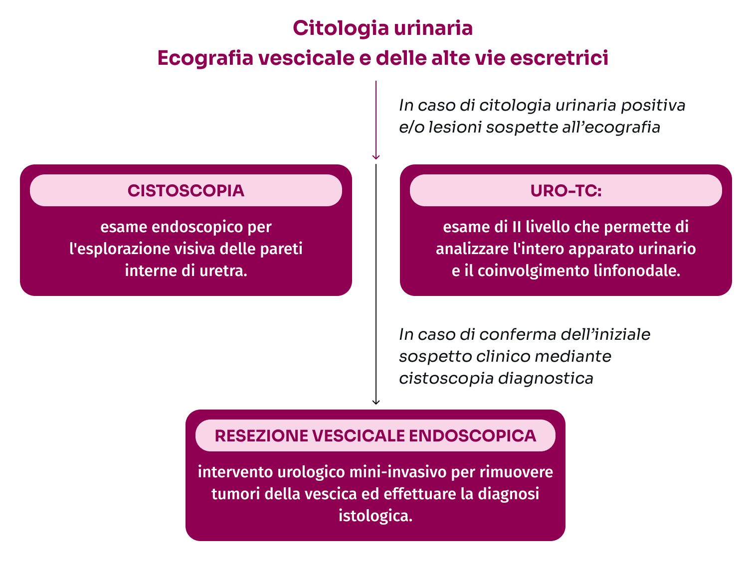 grafico citologia urinaria