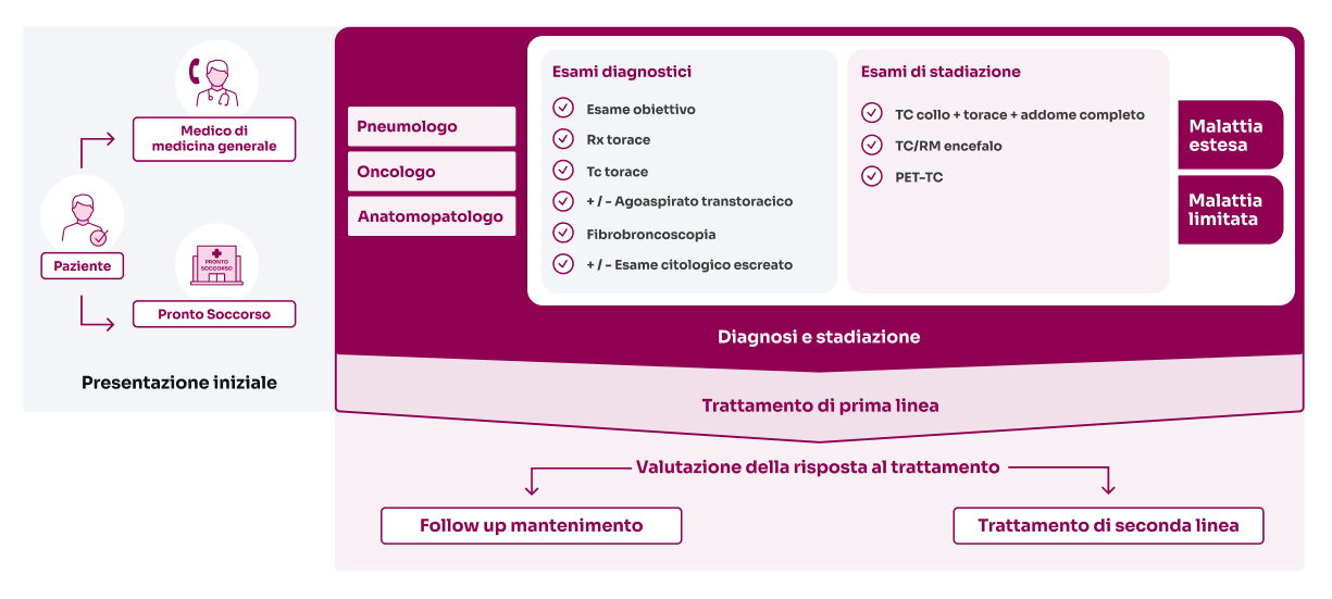grafico
