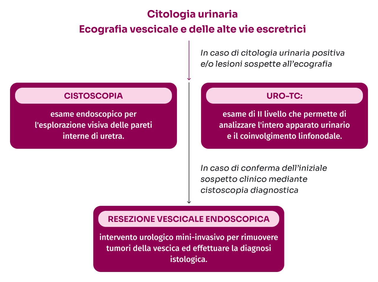 grafico citologia urinaria